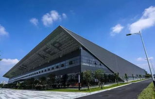 嶺南荔枝熟，最甜在花都——技術(shù)服務(wù)賦能荔枝產(chǎn)業(yè)發(fā)展